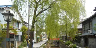 1日弾丸ツアー！伊豆～下田