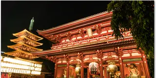 2018初詣 浅草寺 馬肉の概念変わる桜鍋！