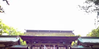 何？！日本の氏神だと？日本の国を鎮め守る社が、こんなとこに…、あるんです！