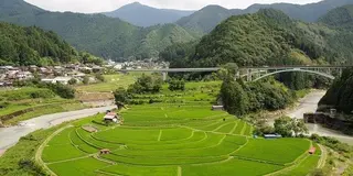 ナイナイお見合い大作戦　次回開催予定地　和歌山県有田川町の魅力　～有田川町の花嫁募集～