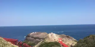歴史と桜をめぐる旅〜山口・大分・熊本〜2016