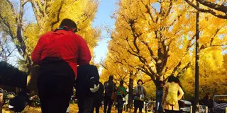 【恵比寿・外苑前】早朝のおしゃれ街を駆け抜け満喫。休日朝ラン2時間コース