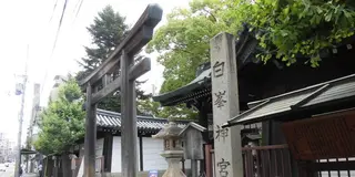 パワースポット！〇〇の神様に会いに行こう！