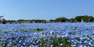 春のドライブ　福岡～北九州