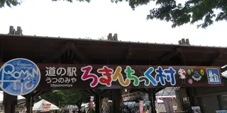 高校生、夏休み先取り！宇都宮で農業!?