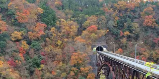 【紅葉が見頃】静かな場所で紅葉を堪能【神石高原町】