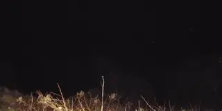 ミッドナイト東尋坊