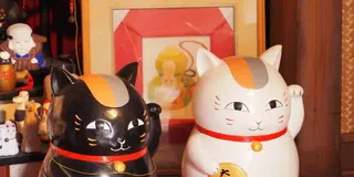［浅草］浅草まち歩き 招き猫と仲良くなれるかも♪