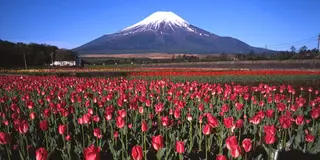富士山と過ごす癒しのホリデー☆