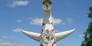 緑が溢れる大自然！