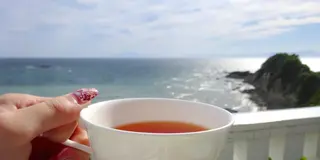 葉山女子旅きっぷで行く！海沿いで優雅な午後を満喫するプチ旅行プラン（デートにも◎）