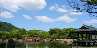 レンタサイクルで行く、越前市の王道絶景スポット巡り！！