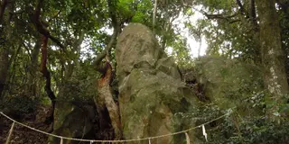 Rock! Rock! Rock! ～石神さまと温泉三昧（1泊2日 路線バスの旅）