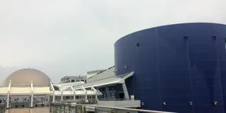 名古屋雨の日デートプラン（水族館編）