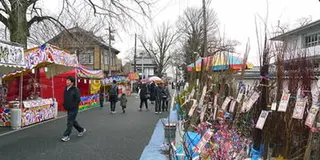 「きくち初市2019」400年続く春の風物詩！今年は伝統の初市に新しい試みが加わります‼