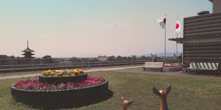 奈良公園界隈 見て歩き&食べ歩き