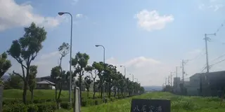 大空の旅を八尾空港で。八尾の歴史を一般道で。