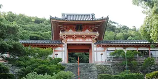 紀三井寺生まれの建築士さんがオススメする和歌浦・紀三井寺の定番ツアー