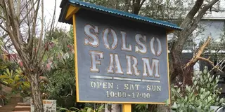 土日限定！多肉の楽園SOLSO FARMへ行こう！