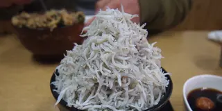 海水浴だけじゃない！！和歌山市加太の美味しいもの探し♪