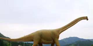 子供とお出かけ！丹波市のひまわり畑と恐竜を巡る旅