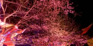 淡路島公園内にできたアニメのテーマパーク「ニジゲンノモリ」満喫プラン