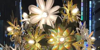 銀座でデート☆冬のイルミネーション