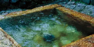 清らかな水を求めて岐阜へ