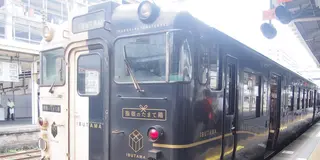 温泉だけじゃない！指宿エリア満喫旅♪