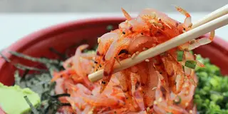 行列のできる漁港で新鮮桜えび丼を食べよう。