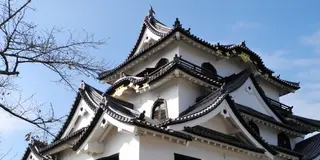 ひこにゃんの街！国宝彦根城と城下町を歩く旅
