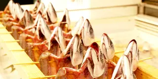 冬ならば寒ブリを食べなくちゃ！富山・氷見で日本海の恵みを食そう♪