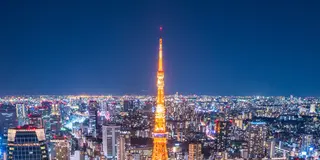 カップルにおすすめ！クリスマスイルミネーションデート♥