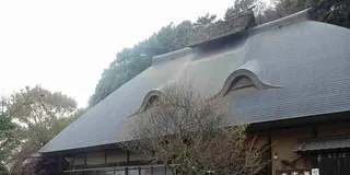 茨城 梅まつり！ドライブ1泊2日旅行