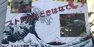 難波の全力で遊べるアミューズメント