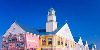 冬の熱川旅行！めっちゃ動物と触れ合う自由気ままな女子2人旅♡