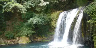 1泊2日旅～静岡・伊豆編～