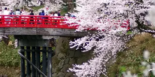 自然満喫★北東北