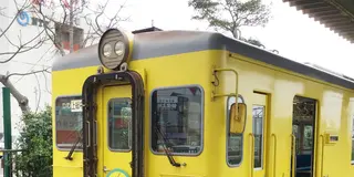 日帰り:いすみ鉄道(大原~上総中川)とイチゴ農園