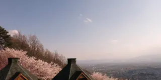 彼方を眺める桜の公園と、入園フリーの動物園！