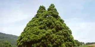 長閑な風景の中でノンビリ珈琲タイム！