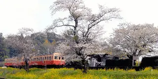 いすみ鉄道　スィーツ&ワイン列車にのって