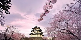 車中泊日本一周 2009-2010 (02) 青森県
