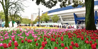 たまには横浜散策