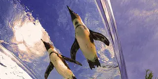 水族館のビアガーデンと、池袋散策