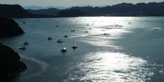 「ポタ初め」は鳴門の渡船巡り♪