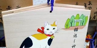 愛猫家の為の救世主・ネコ返し神社