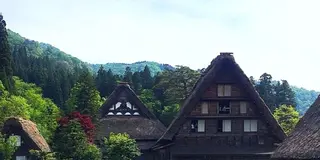 【冬だけじゃない！】夏の白川郷でたっぷり深呼吸の旅