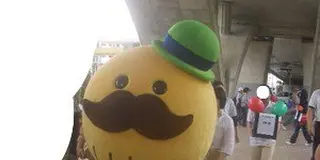 水間鉄道に乗って水間観音さんに会いに行こう