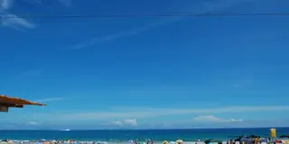 夏の伊豆は青と魚がいっぱい